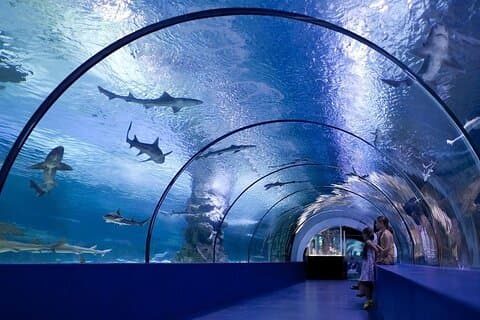 Antalya akvarium och ansikte mot ansikte Wax Museum biljett