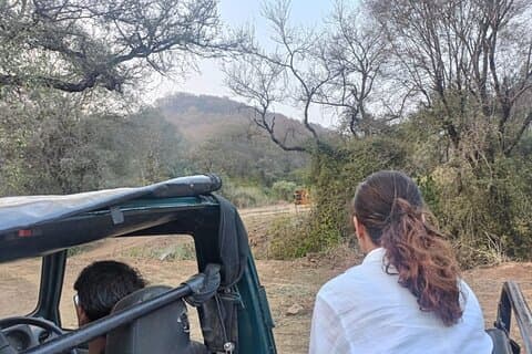 Delhi til Sariska National Park: En spændende dyrelivsudflugt