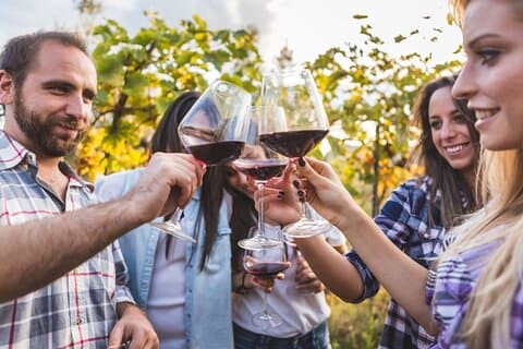 Private Tuscany Wine Discovery: 3 Boutique Estates, Wine & Lunch