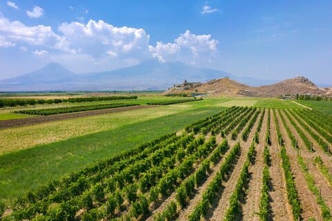 Privat Areni Winery och Noravank Day Tour från Jerevan