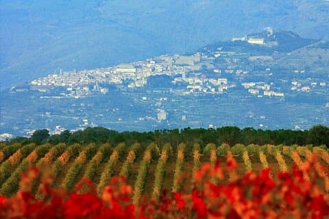 Exclusivo tour a Cortona desde Florencia: Tierra de Syrah toscana.