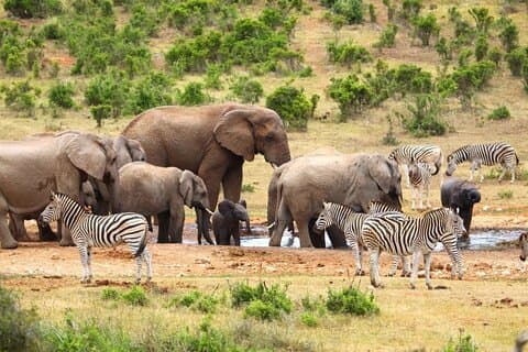 2-day Private Garden Route Tour from Cape Town
