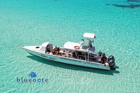 2 Tank Morning Dive: Scuba Diving in Cozumel