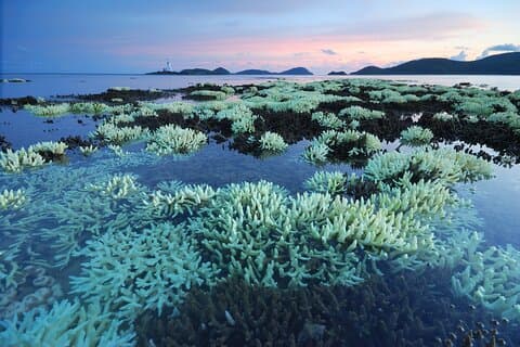 Private Tour Siao Liuchiu-Coral Island From Kaohsiung