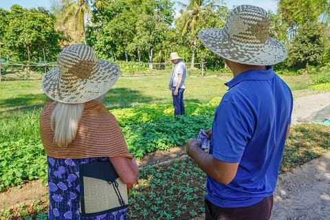 Dorpswandeling en kookles in Siem Reap