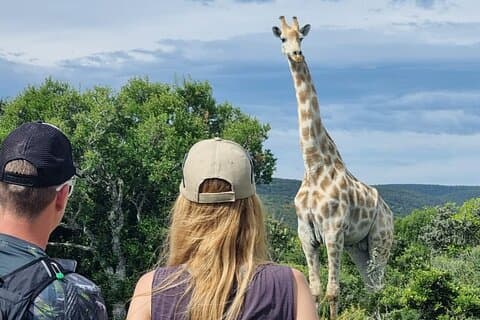 Hotell nära Addo Elephant Park & Giraffe Walk