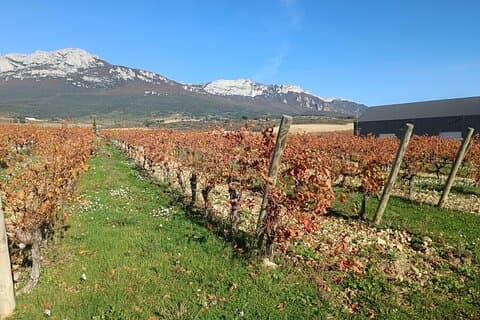 Private Rioja Wine Tour from San Sebastián & Laguardia Village