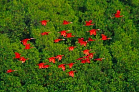 Halbtägige private Tour in Trinidad und Tobago