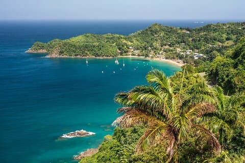 Private Tour Island of Tobago