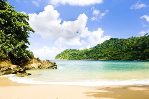 Private Tour Englishman's Bay from Tobago