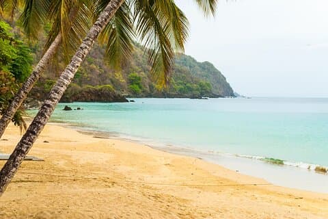 Private Tour Castara Bay from Tobago