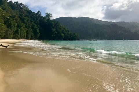 トバゴ発プライベートツアー海賊湾