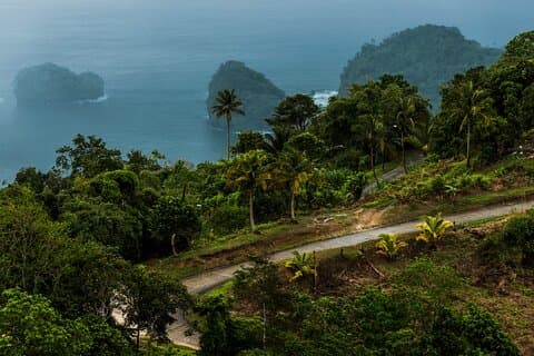 Privat rundtur i regnskogen från Tobago