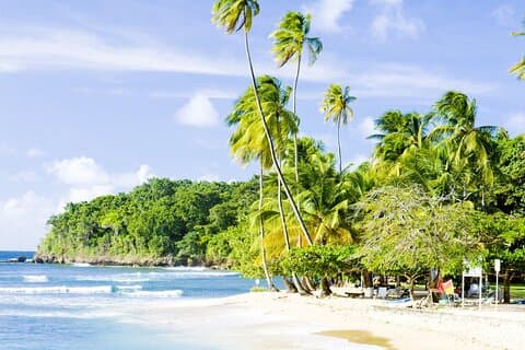 Privat rundtur Mount Irvine Bay från Tobago