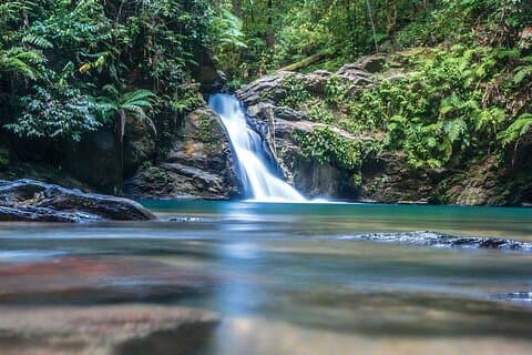 Private Tour zum Paria-Wasserfall ab Port of Spain