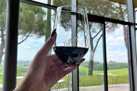 Private Montepulciano Wine Experience with Lunch in Local Setting