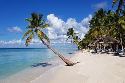 Tour di un giorno intero all'isola di Saona da Santo Domingo con prelievo