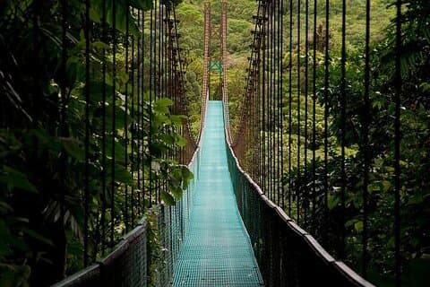 The Mistico Hanging Bridges