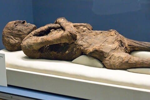 Historical Day Tour To Luxor And Mummification Museums