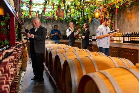 Full-Day Private Colonia Caroya Wine Tour from Córdoba