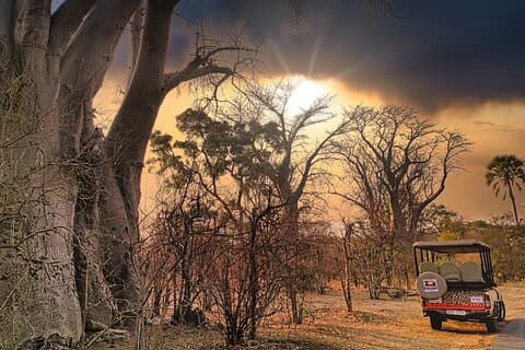 Privat rundtur i Victoria Falls Town i öppen 4x4 Safari Jeep