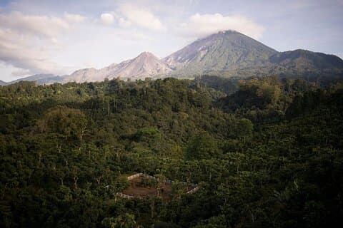 Private Xela Wellness Immersion in Guatemala