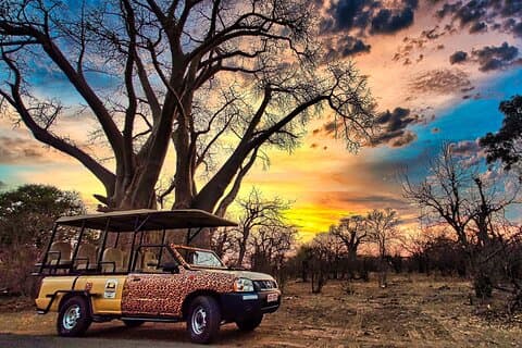 4x4 Safari in Victoria Falls` Zambezi National Park *D-ES-F