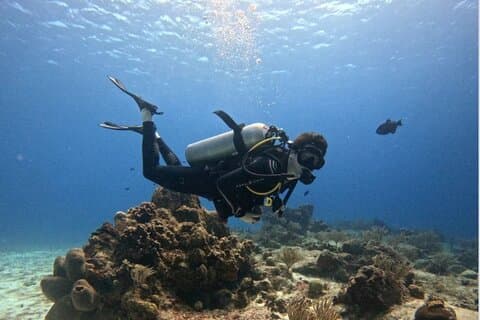 Open Water Diver Course