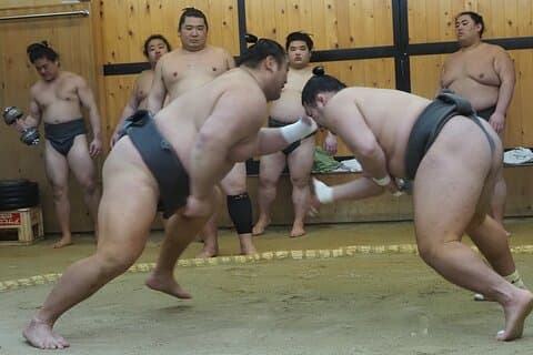 英語ガイドとホテル送迎付き大阪相撲研修