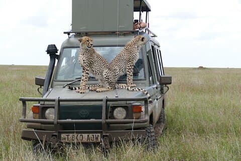 5 Days in to the heart of serengeti