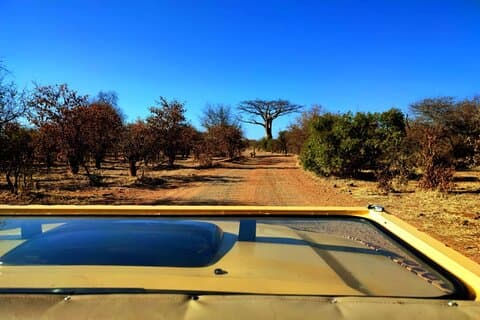 Safari Game Drive exclusivo em Zambezi National Park *D-F-ES