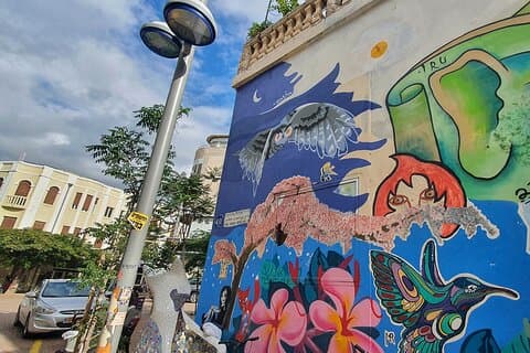 Tour de arte callejero de Tel Aviv (graffiti)