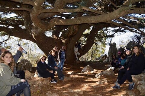 Full Day History Nature and Tasteful Delights Tour in Chouf