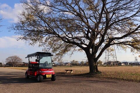 3 Hours Historical Tour of Princess Saio on an Electric Cart