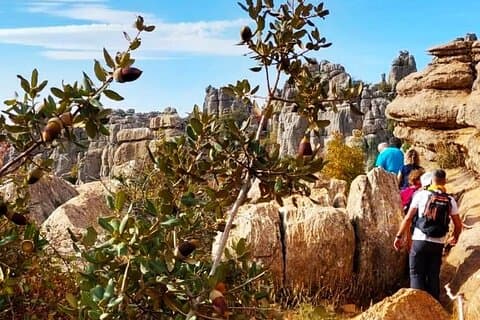 Antequera og Torcal lille gruppe tur med afhentning