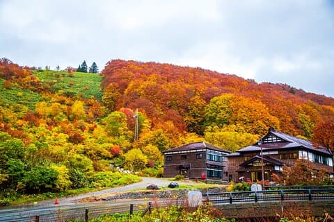 Aomori Private Customizable 6-Hour Tour