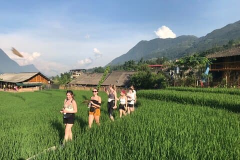 From Hà Nội : Sapa trek with local guide 2 days 1 night