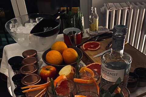 Hungarian Gin and Tonic Tasting and Workshop