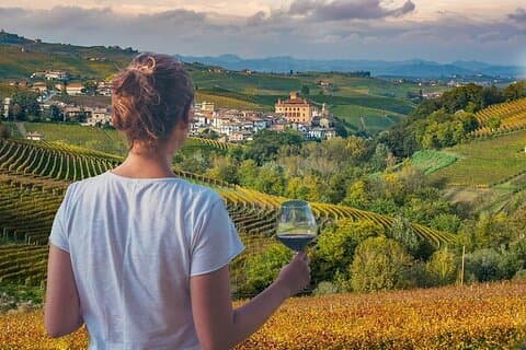Fra Alba og Torino: Langhe Vintur med smagning