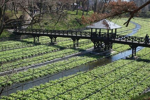 Matsumoto Private One Day Tour from Nagano