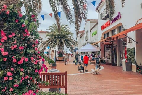 Tour privado de compras desde San Diego a los outlets de San Clemente