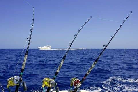 Hoteller i nærheden af Deep Sea Fishing on Wahooter's