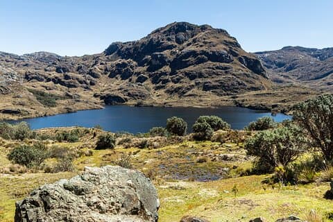 Halvdag privat tur til Cajas National Park fra Cuenca