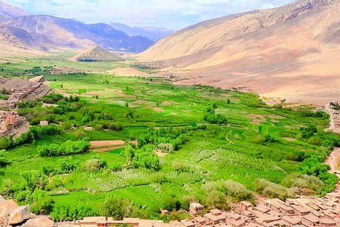 Un'avventura marocchina di 8 giorni da Marrakech alle montagne dell'Atlante e al deserto del Sahara.
