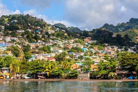 Private Tour Kingstown Half Day