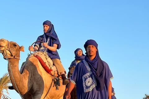 Kamel in Marrakesch bei Sonnenuntergang