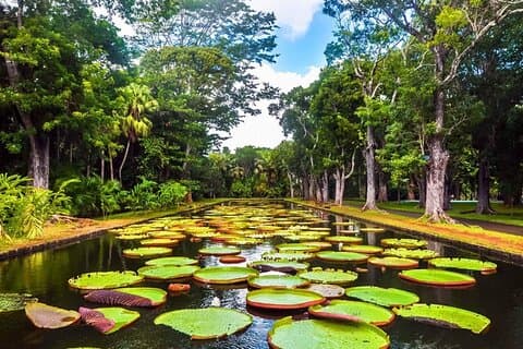 Norte mágico: excursão guiada privada de dia inteiro ao norte
