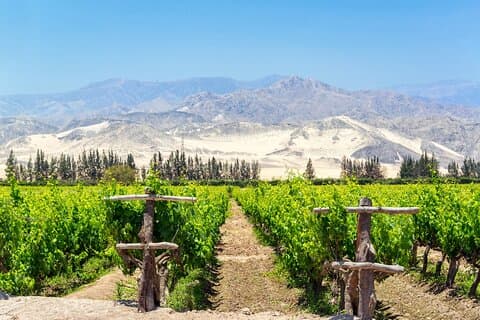 Tour enologico privato di mezza giornata sulla strada del Pisco da Ica