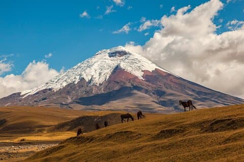 Heldags privat tur til Cotopaxi National Park