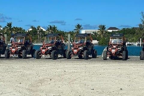 Turtle Tail & Turks Head Brewery UTV Adventure